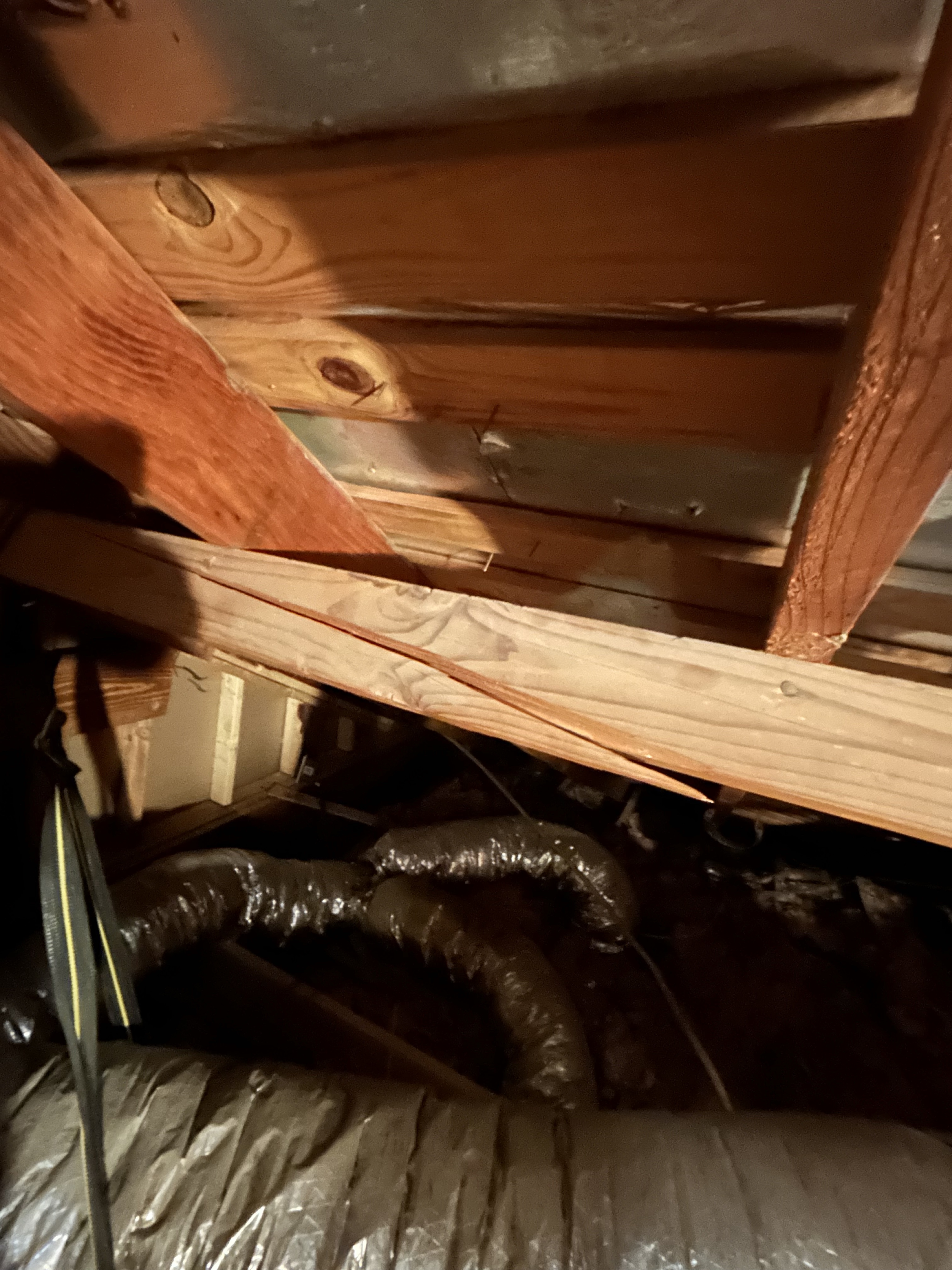 Attic framing repairs